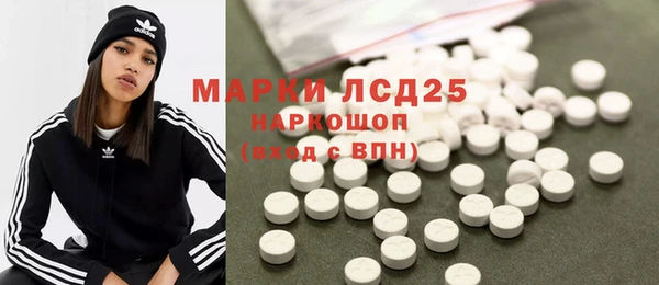 ПСИЛОЦИБИНОВЫЕ ГРИБЫ Лихославль
