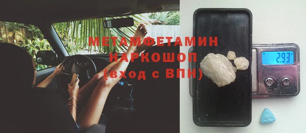 прущие грибы Лиски