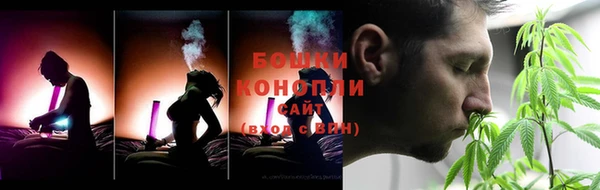 ПСИЛОЦИБИНОВЫЕ ГРИБЫ Лихославль