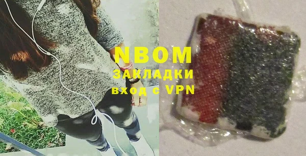 индика Жердевка