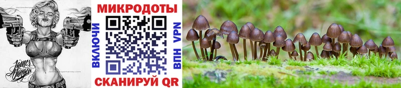 дарнет шоп  кракен маркетплейс  Псилоцибиновые грибы Magic Shrooms  Спас-Деменск 